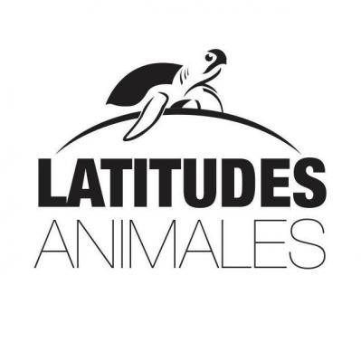Festival Latitudes Animales, partenaire du Festi photo de Rambouillet